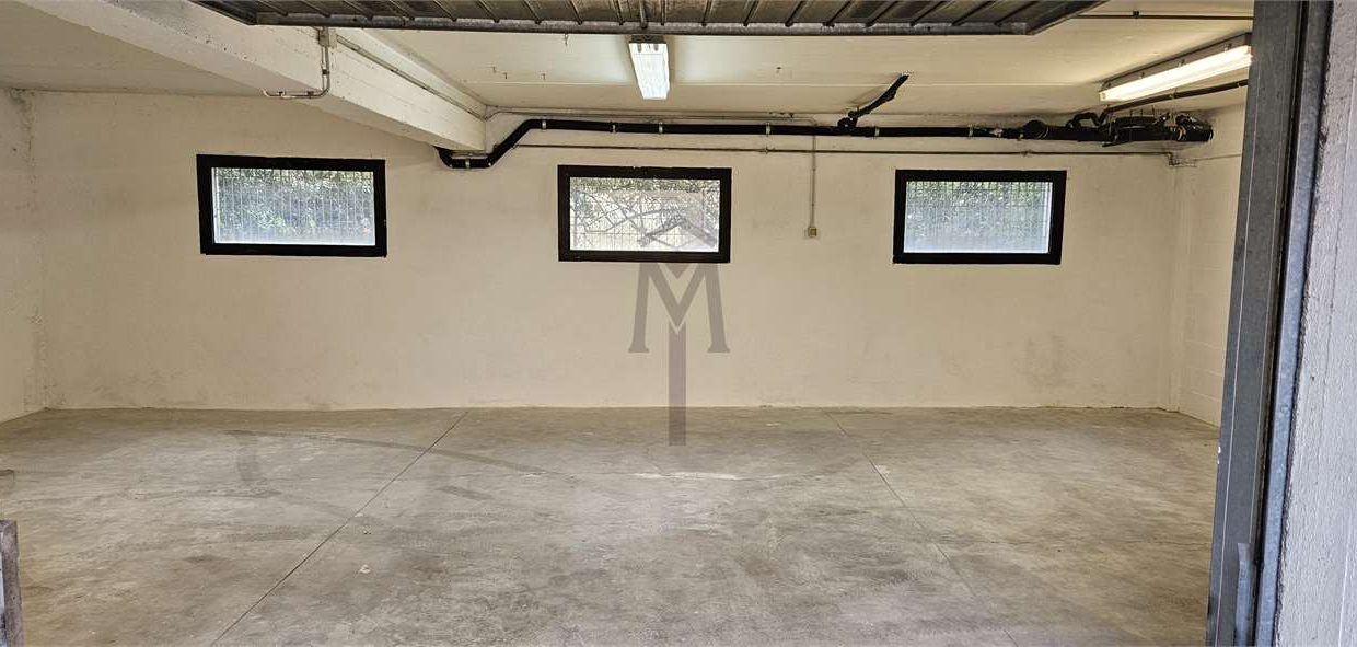 imm_48385-20260309114205-1280-