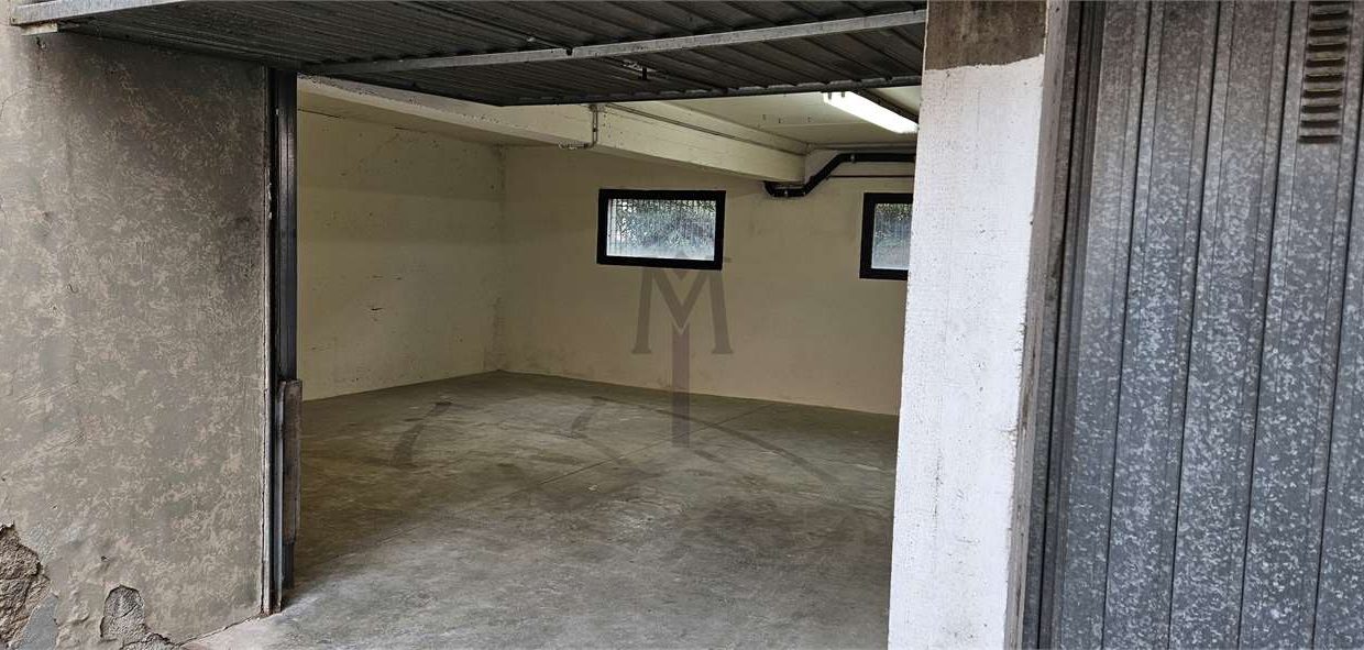 imm_48389-20260309114216-1280-