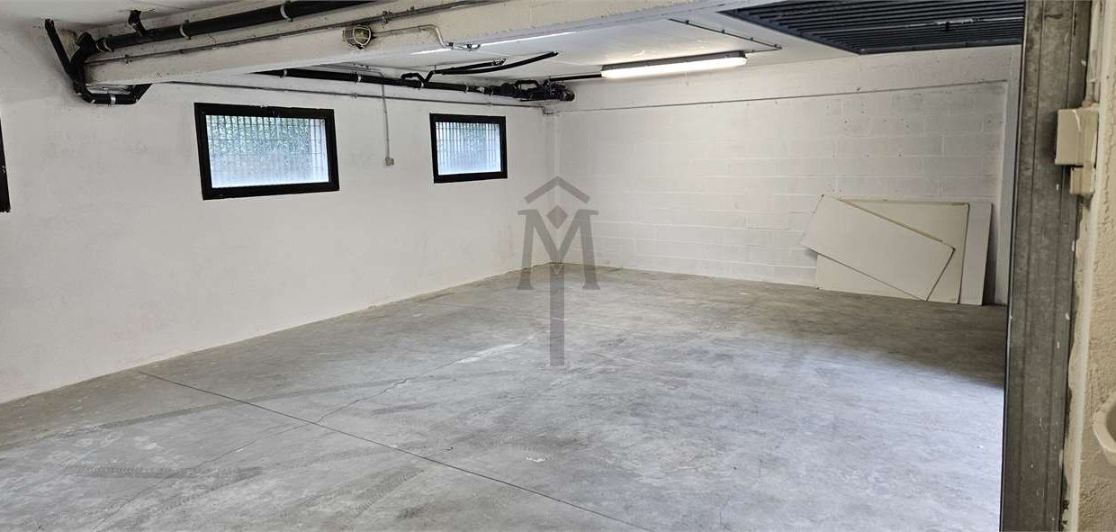 imm_48390-20260309114218-1280-