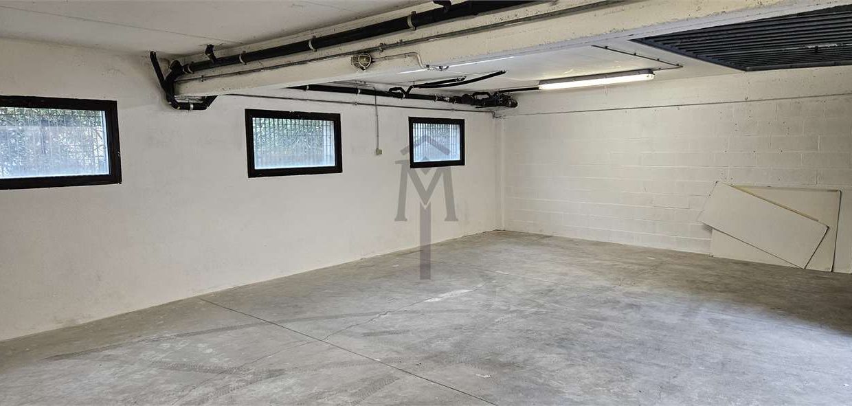 imm_48391-20260309114220-1280-