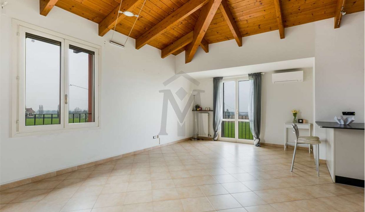 imm_48431-20260310152707-1280-