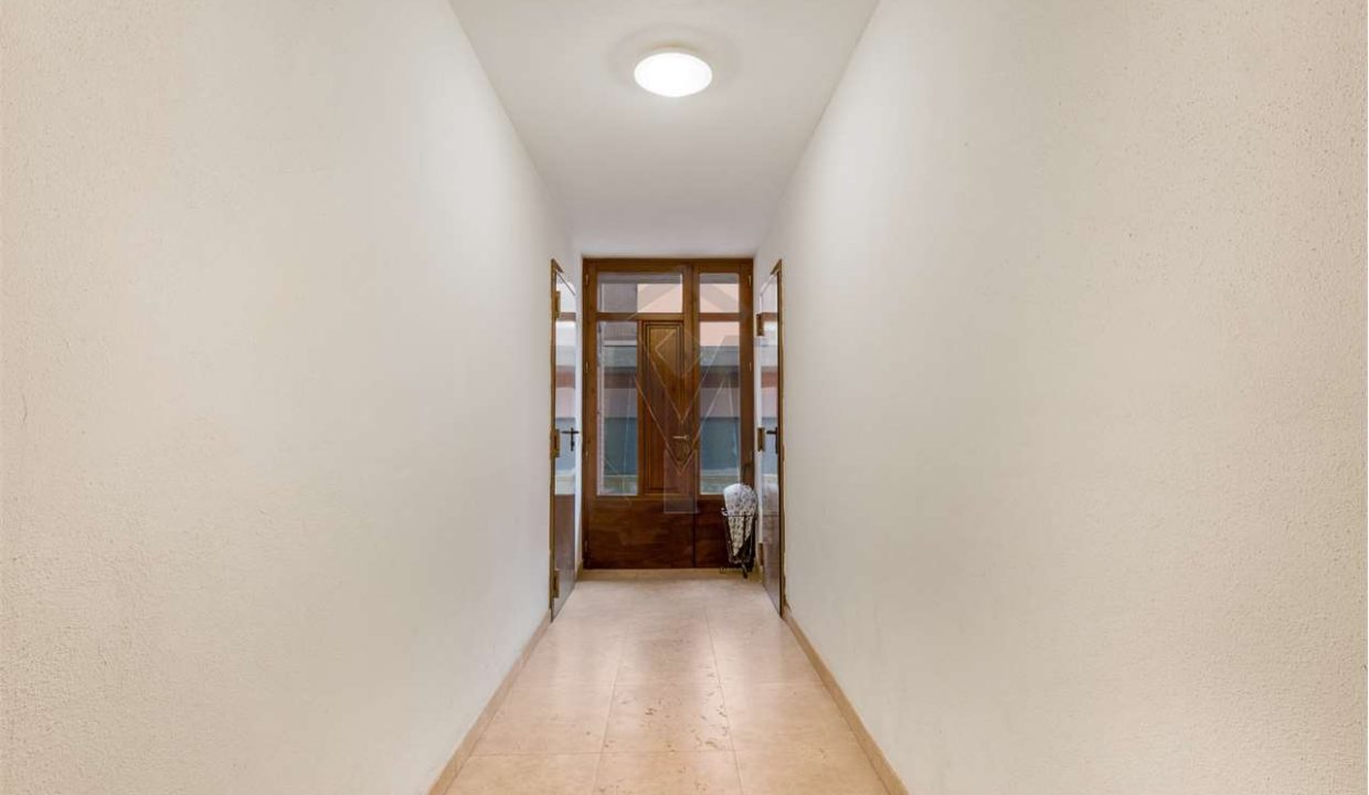 imm_48443-20260310152856-1280-