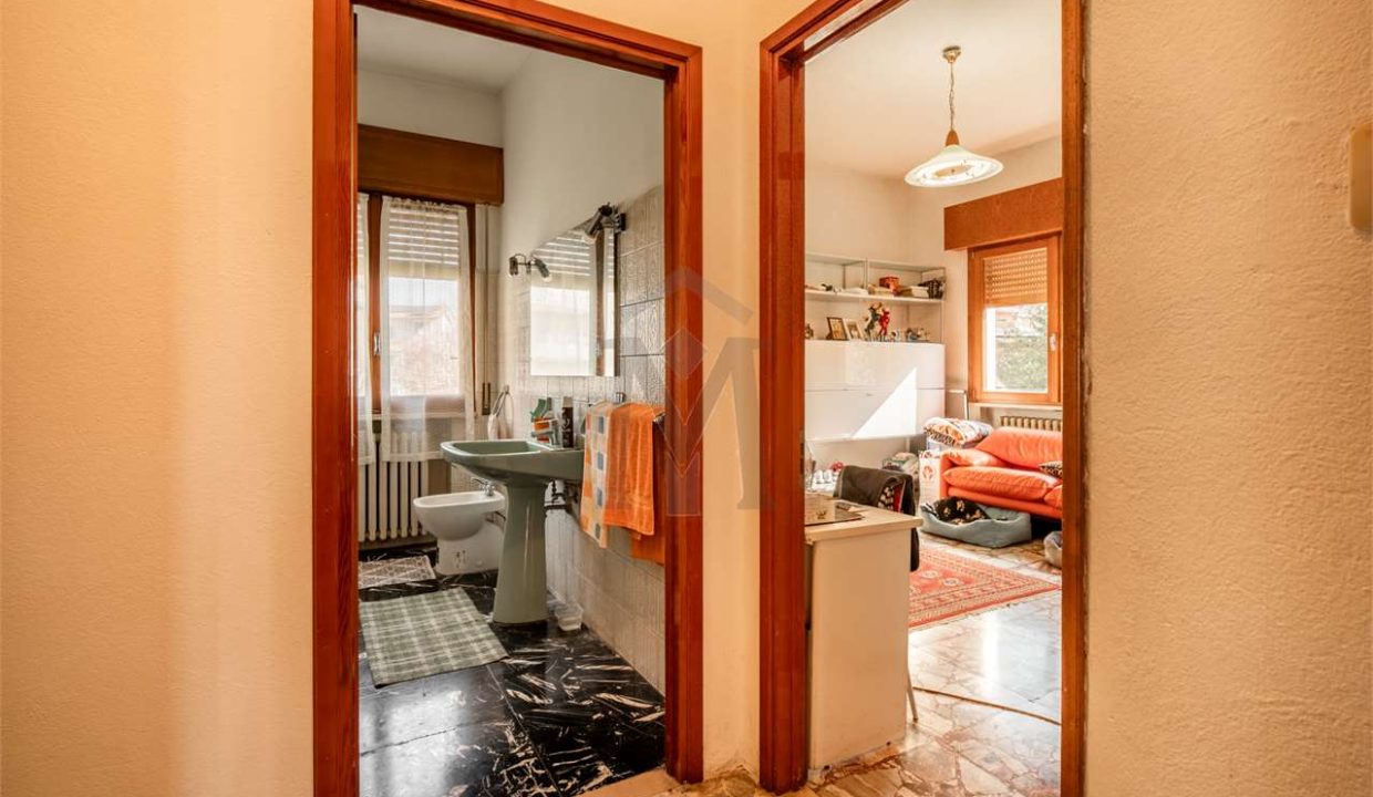 imm_48728-20260327111407-1280-