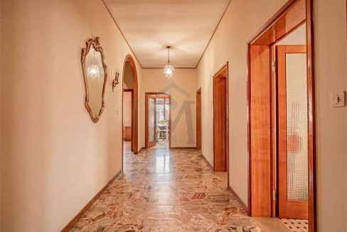 imm_48733-20260327112110-1280-