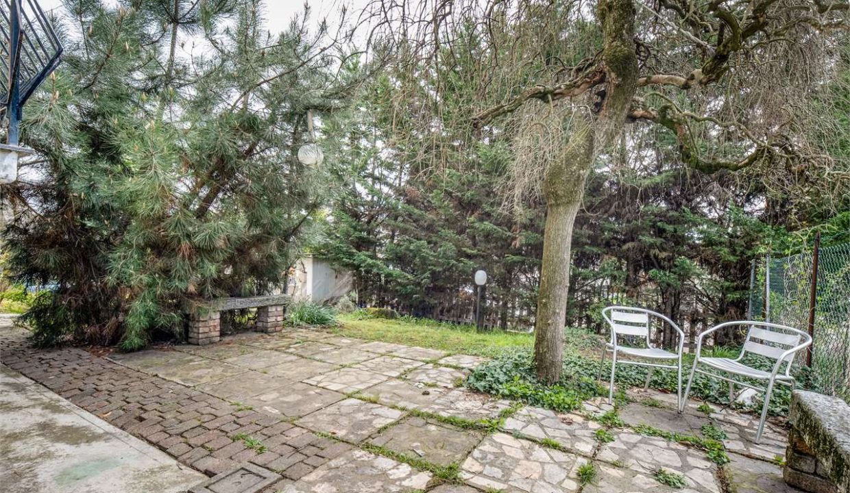 imm_48808-20260331193216-1280-