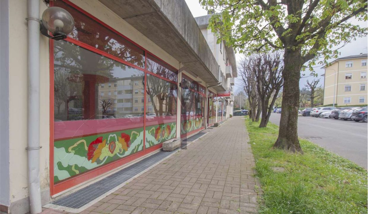 imm_49003-20260421095907-1280-