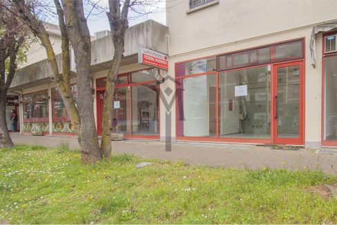 imm_49024-20260421095442-1280-