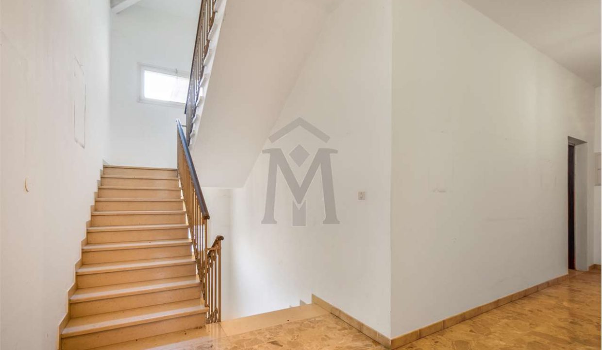 imm_49189-20260504093318-1280-