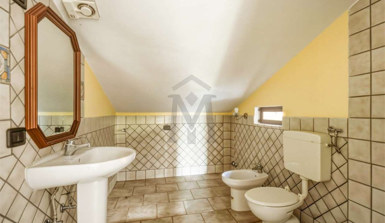 imm_49780-20260603183432-1280-