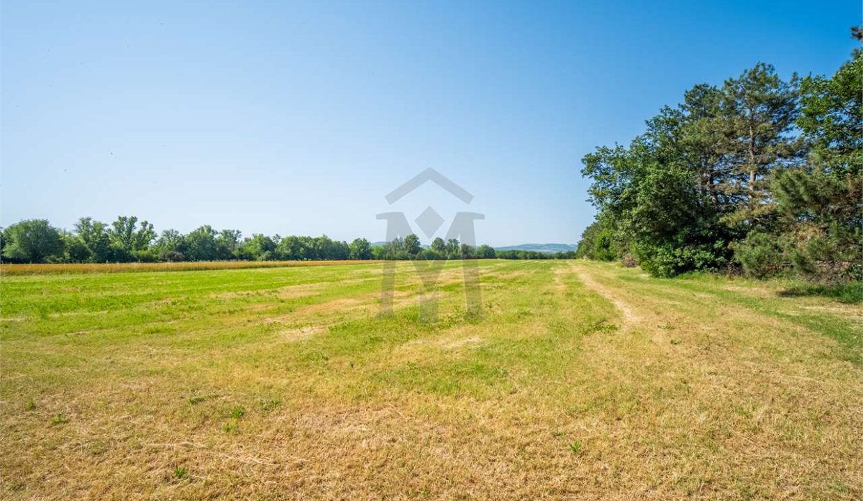 imm_49877-20260618101529-1280-