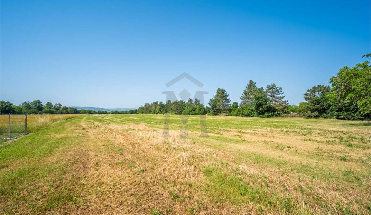imm_49878-20260618101525-1280-