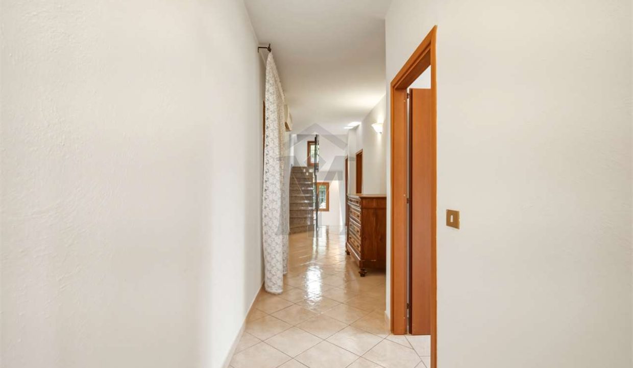 imm_49952-20260629153432-1280-
