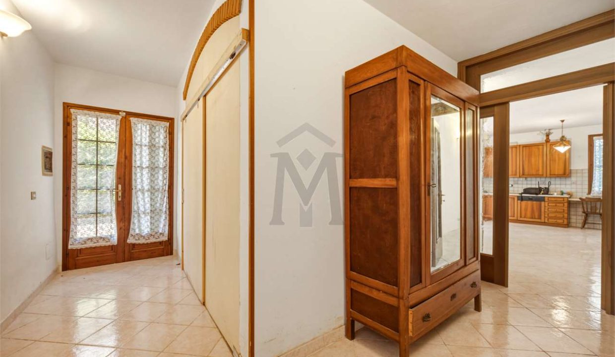 imm_49959-20260629153124-1280-