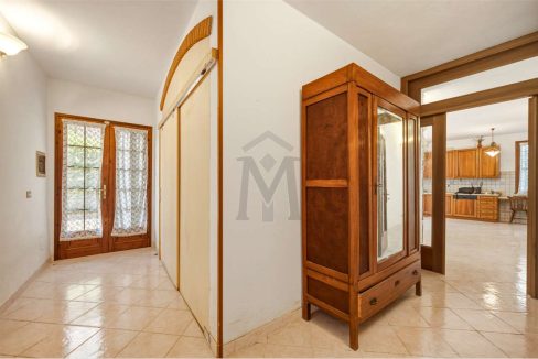 imm_49959-20260629153124-1280-