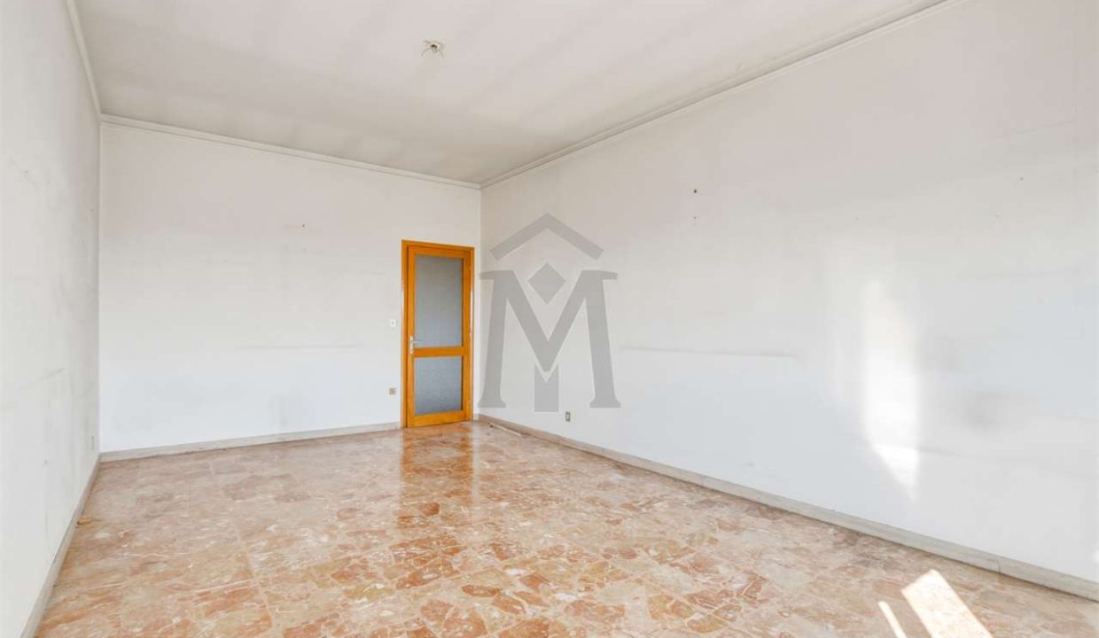 imm_50289-20260727185048-1280-