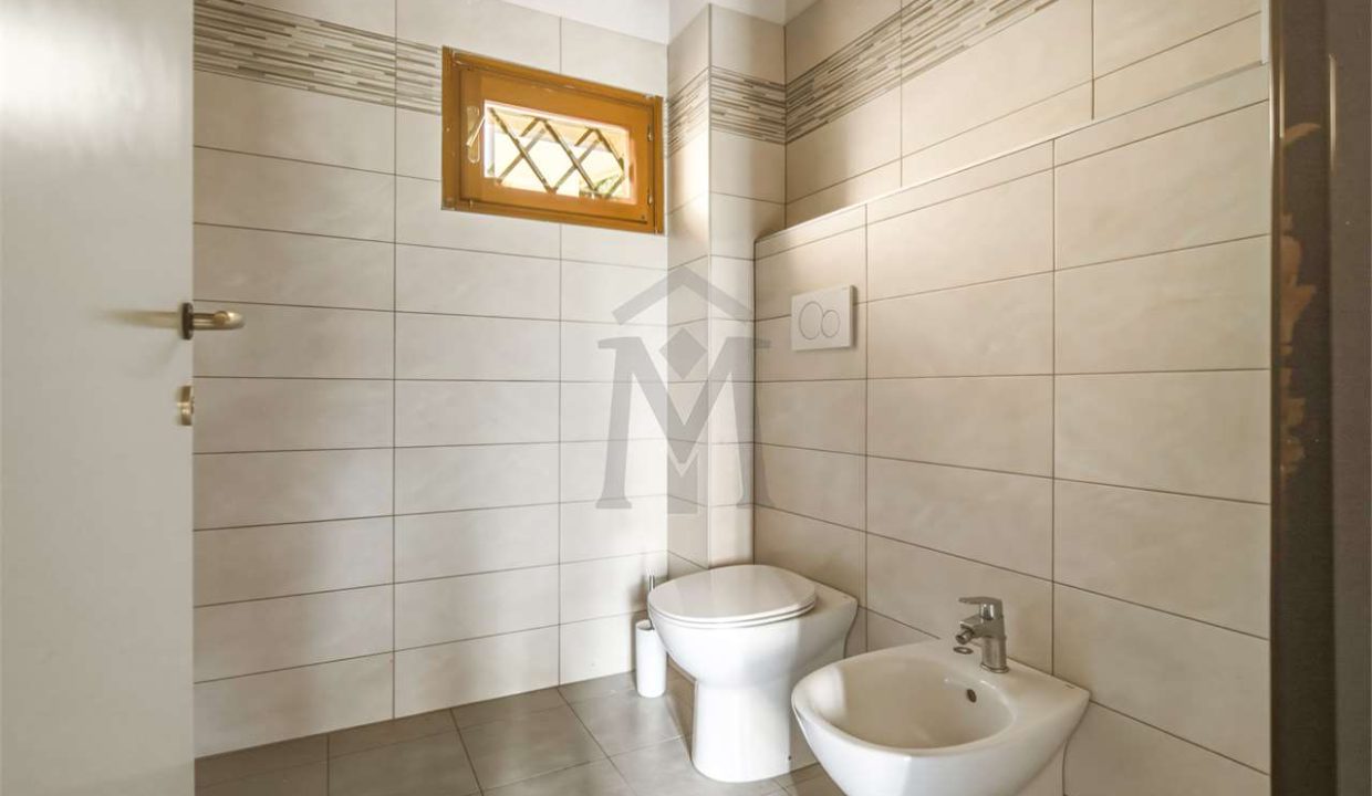 imm_50538-20260728104148-1280-