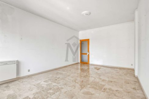 imm_50558-20260727183828-1280-